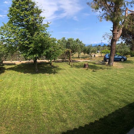 Athos View Villa By The Sea Ormos Panagias Extérieur photo